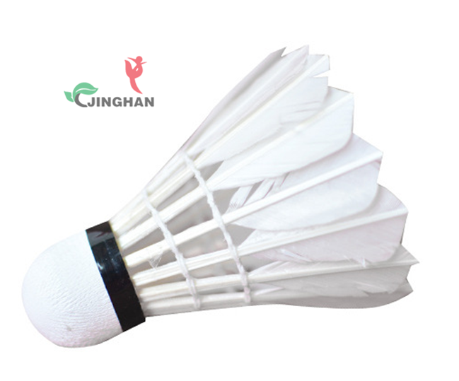 JHYMQ--005 羽毛球